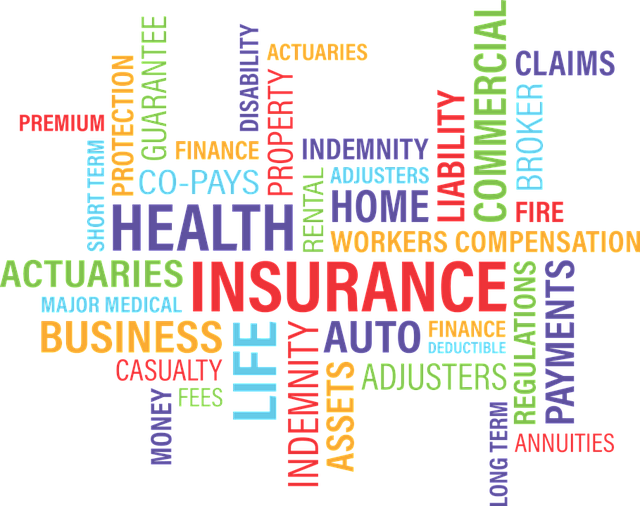 auto insurance terms
