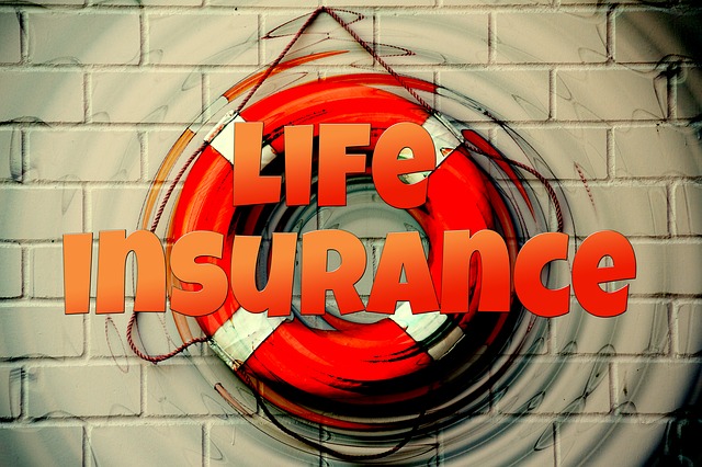 life insurance newbies