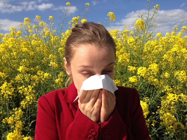 natural allergy remidies