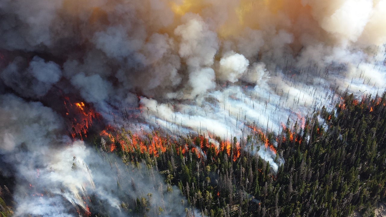 wildfire safety tips
